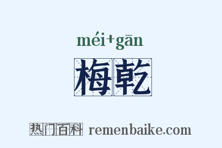 梅乾是什么意思的图片